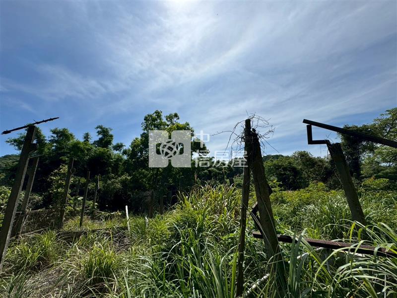 D04.新竹縣新埔建農地【捷運新北園區站加盟店 】房屋室內格局與周邊環境