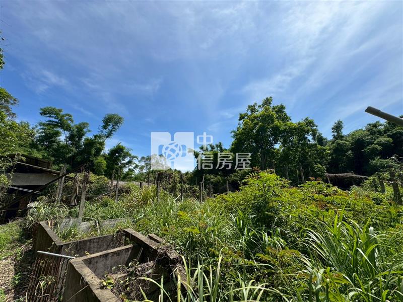 D04.新竹縣新埔建農地【捷運新北園區站加盟店 】房屋室內格局與周邊環境