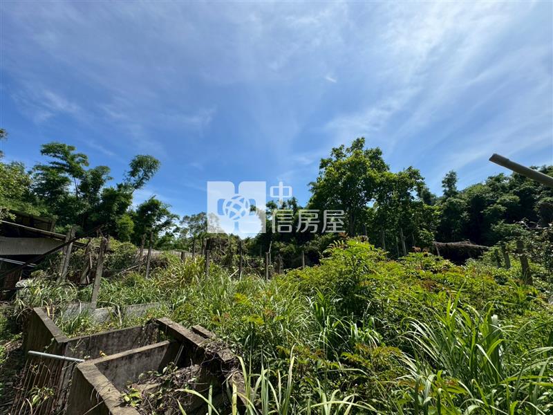 D04.新竹縣新埔建農地【捷運新北園區站加盟店 】房屋室內格局與周邊環境