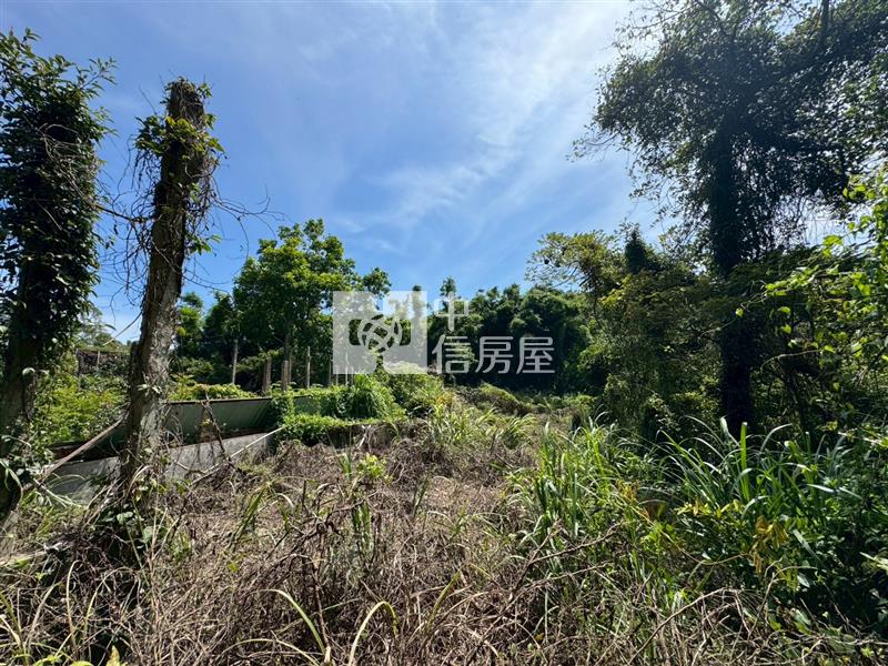 D04.新竹縣新埔建農地【捷運新北園區站加盟店 】房屋室內格局與周邊環境