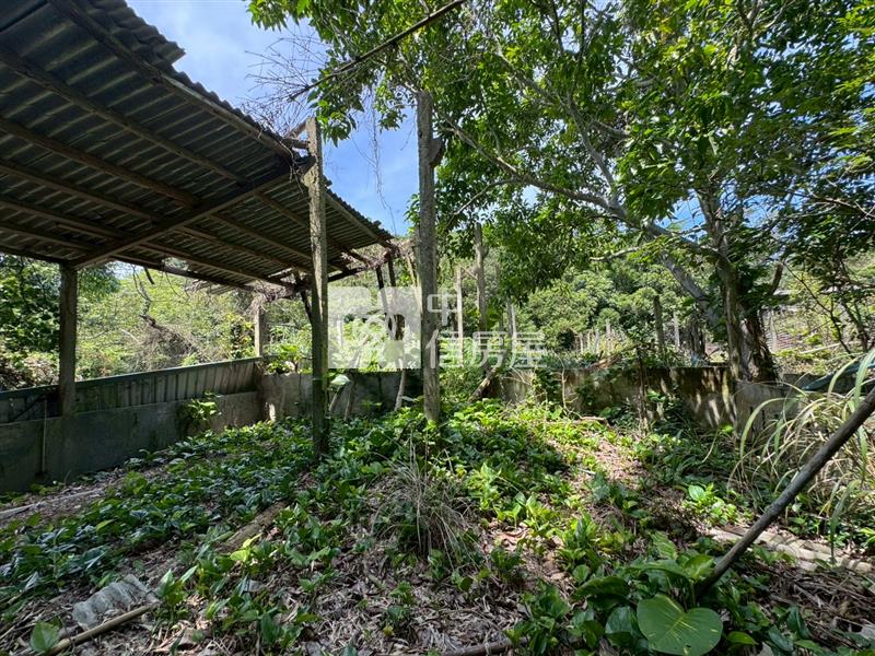 D04.新竹縣新埔建農地【捷運新北園區站加盟店 】房屋室內格局與周邊環境