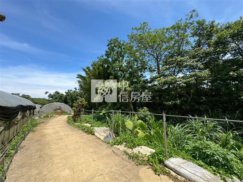 D06.龍潭特目土地【捷運新北園區站加盟店 】房屋室內格局與周邊環境