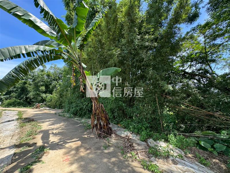 D06.龍潭特目土地【捷運新北園區站加盟店 】房屋室內格局與周邊環境