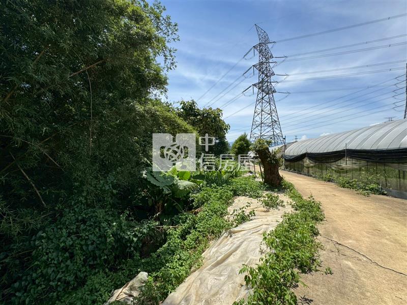 D06.龍潭特目土地【捷運新北園區站加盟店 】房屋室內格局與周邊環境