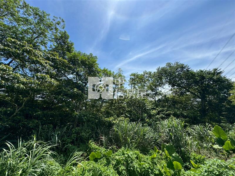 D06.龍潭特目土地【捷運新北園區站加盟店 】房屋室內格局與周邊環境