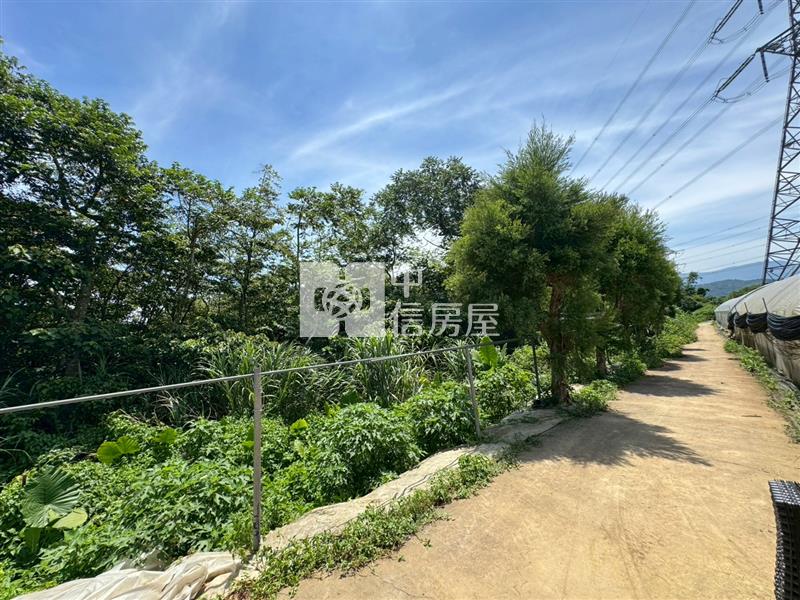 D06.龍潭特目土地【捷運新北園區站加盟店 】房屋室內格局與周邊環境