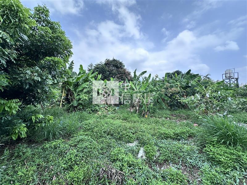 大里區都計內臨路農地房屋室內格局與周邊環境