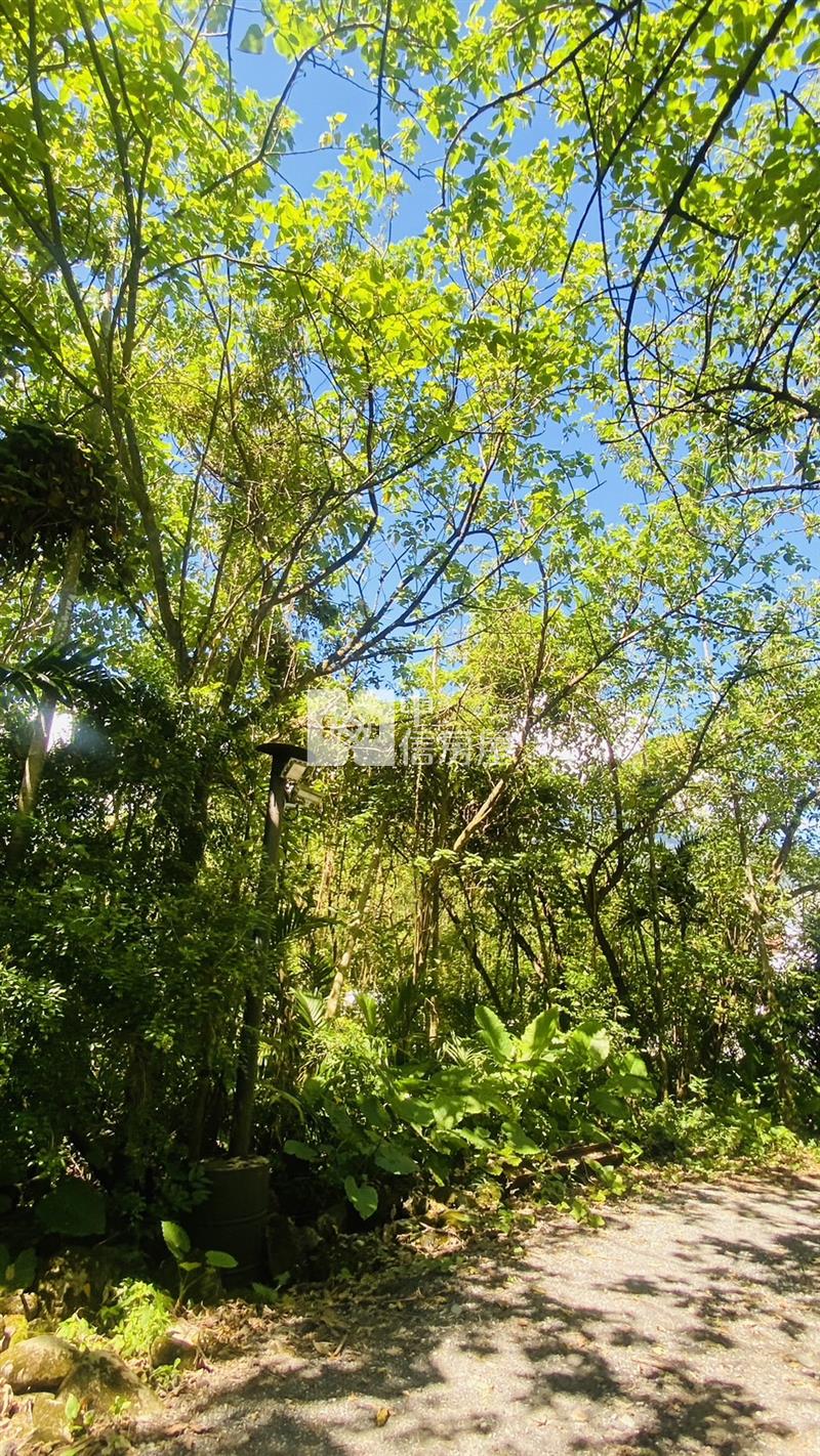 專任鳳林林榮段稀有優質農地房屋室內格局與周邊環境