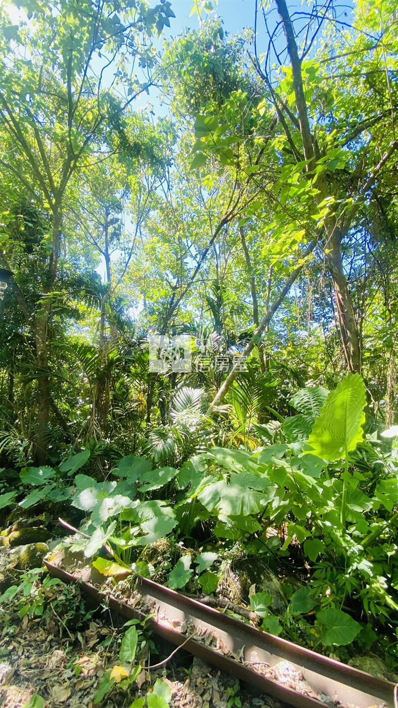 專任鳳林林榮段稀有優質農地房屋室內格局與周邊環境