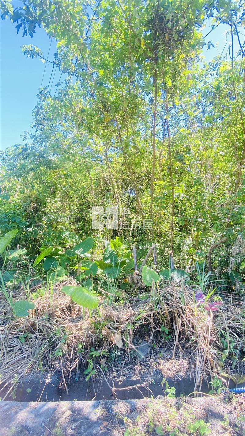 專任鳳林林榮段稀有優質農地房屋室內格局與周邊環境