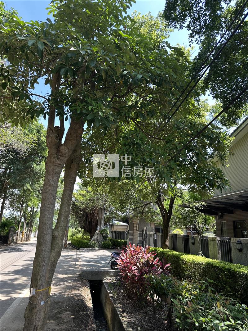 【神馬】近青埔日式禪風大地坪別墅房屋室內格局與周邊環境