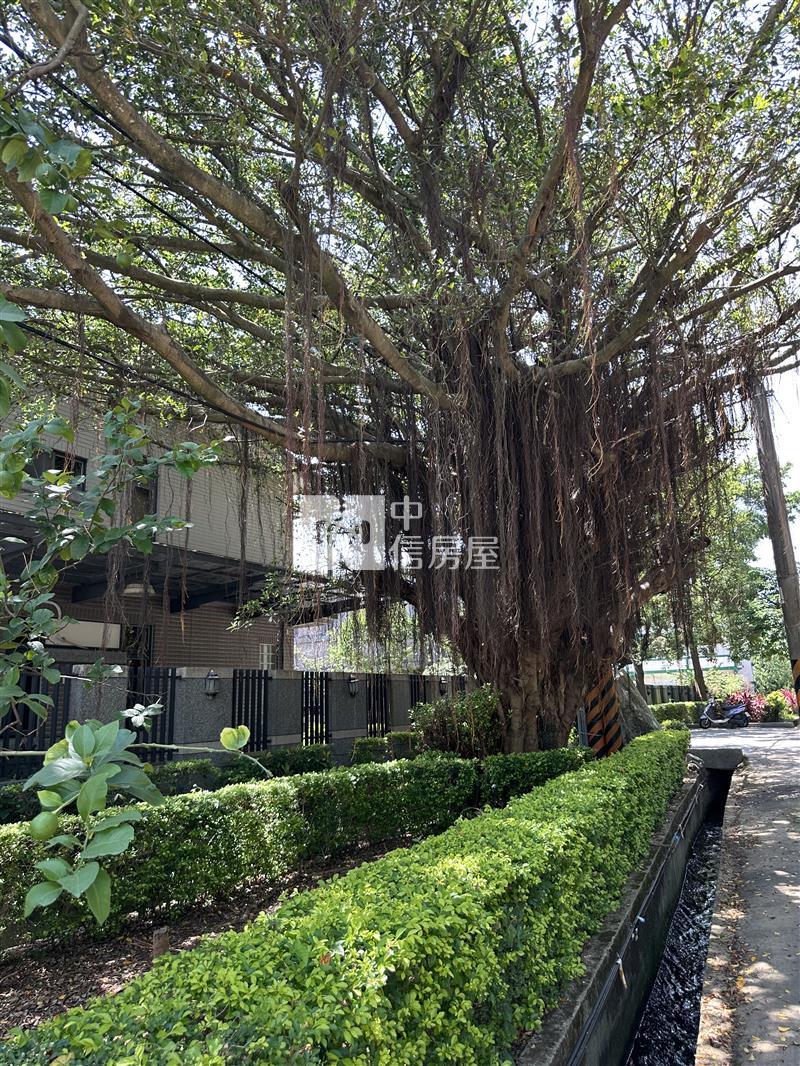 【神馬】近青埔日式禪風大地坪別墅房屋室內格局與周邊環境