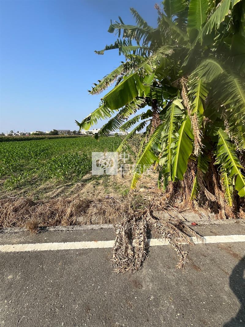 七股872方正農地房屋室內格局與周邊環境