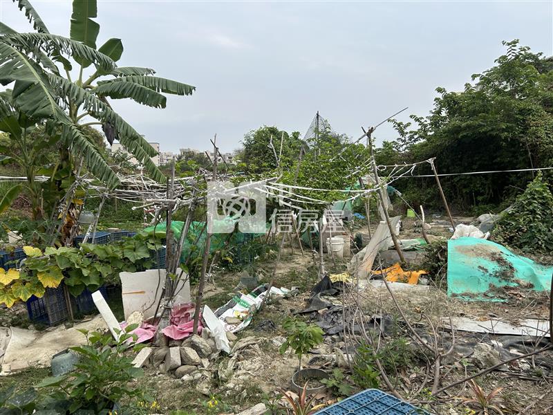 南科旁重畫好方正農地房屋室內格局與周邊環境
