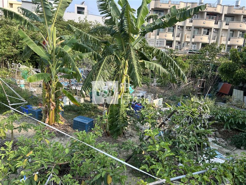 南科旁重畫好方正農地房屋室內格局與周邊環境