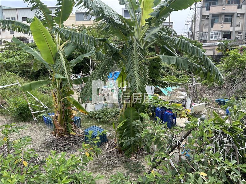 南科旁重畫好方正農地房屋室內格局與周邊環境