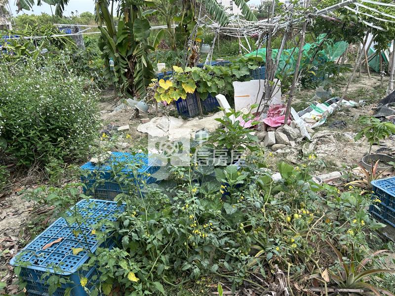 南科旁重畫好方正農地房屋室內格局與周邊環境