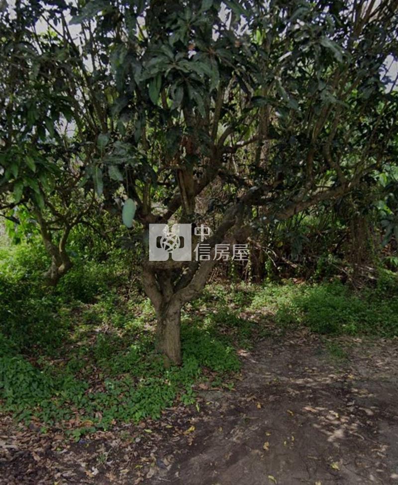 楠西5分7超值俗一般農地房屋室內格局與周邊環境