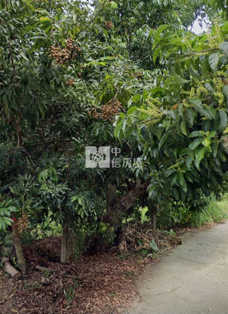 楠西5分7超值俗一般農地房屋室內格局與周邊環境