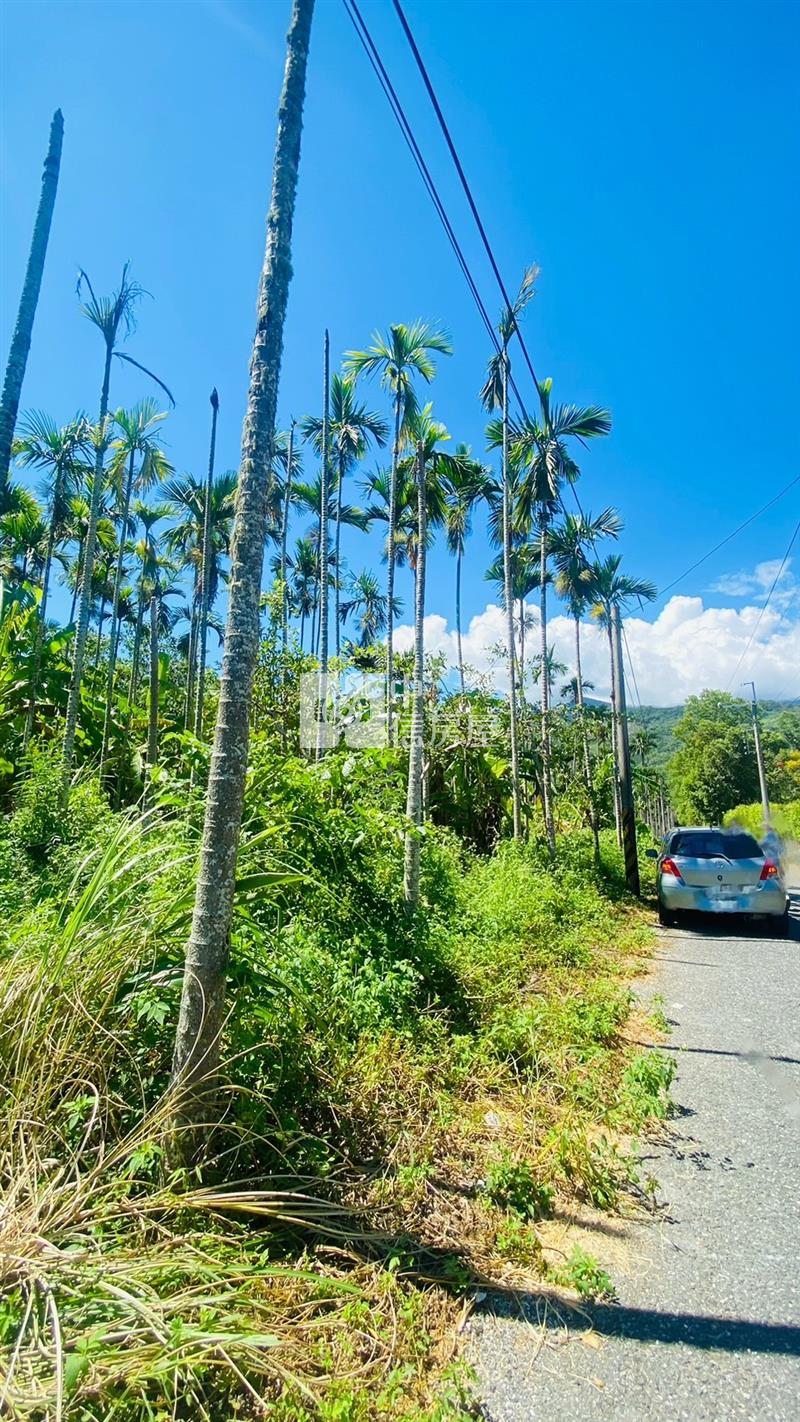 專任鳳林優質農地房屋室內格局與周邊環境