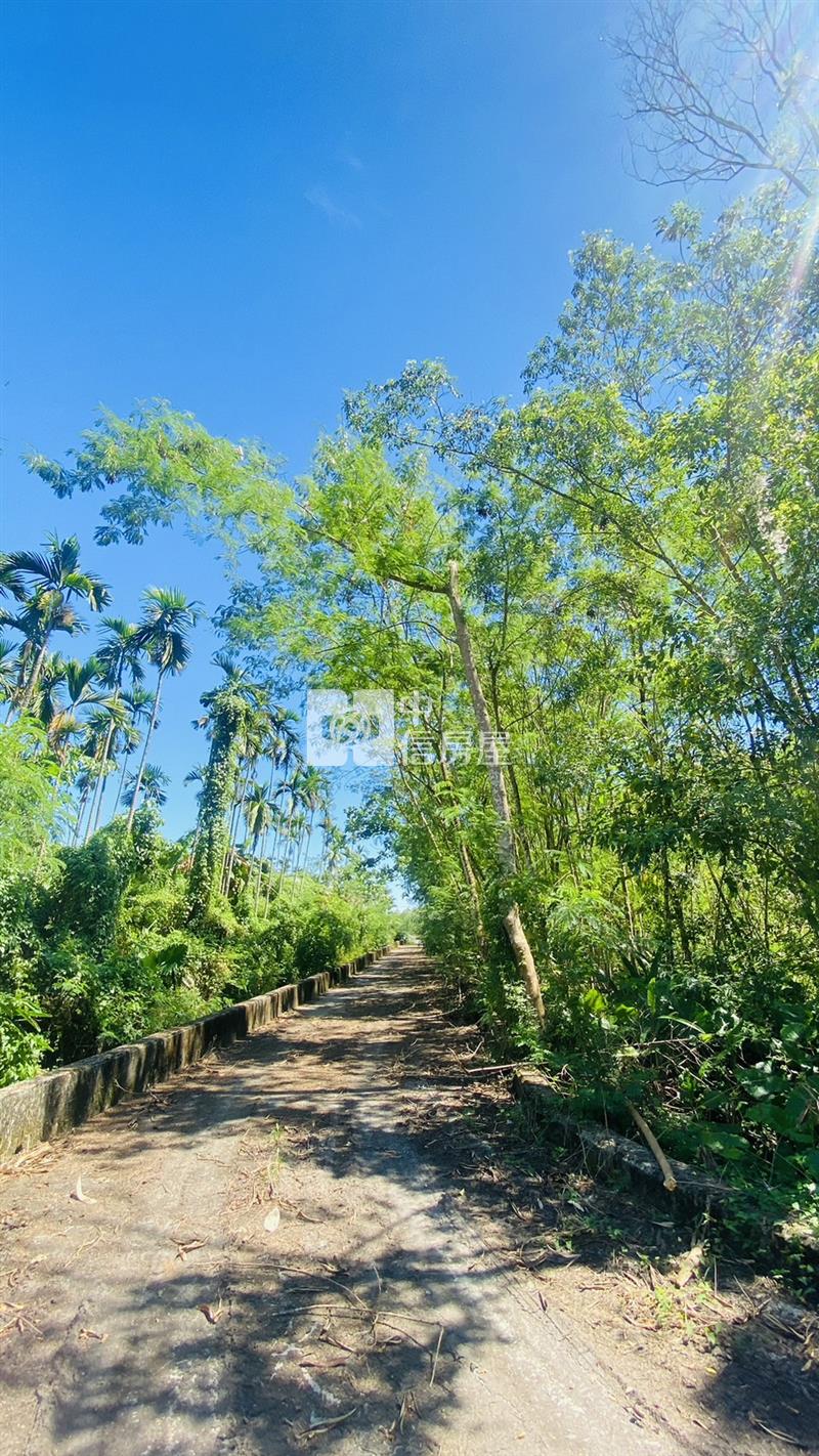 專任鳳林林榮段小坪數農地房屋室內格局與周邊環境