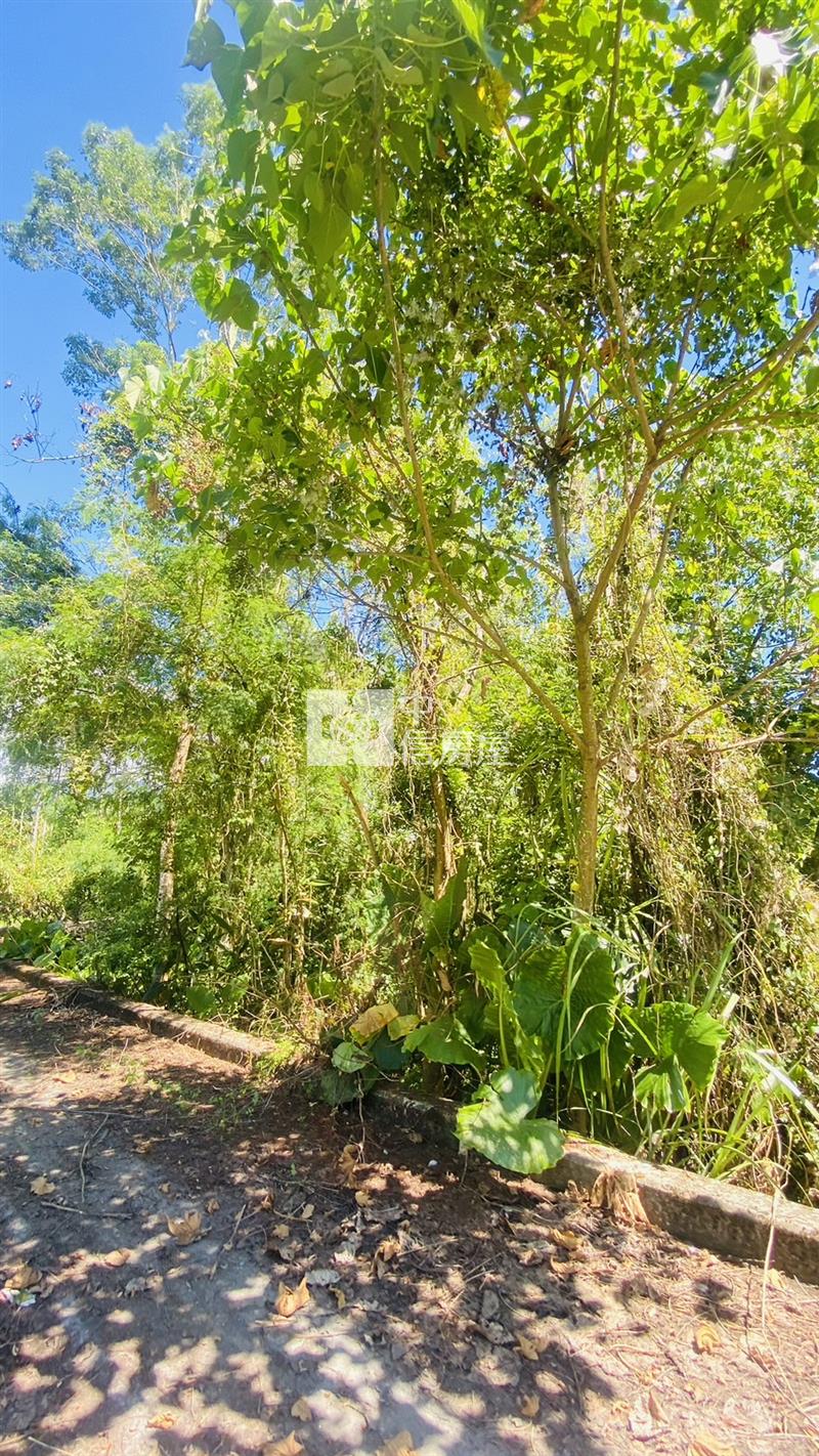 專任鳳林林榮段小坪數農地房屋室內格局與周邊環境