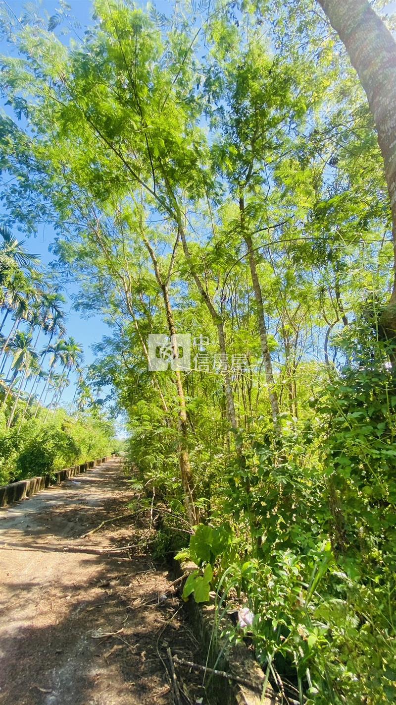 專任鳳林林榮段小坪數農地房屋室內格局與周邊環境