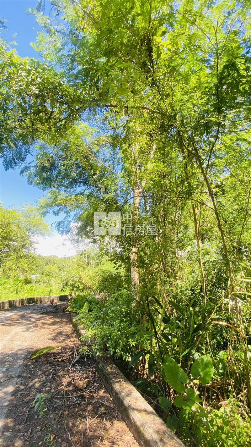 專任鳳林林榮段小坪數農地房屋室內格局與周邊環境