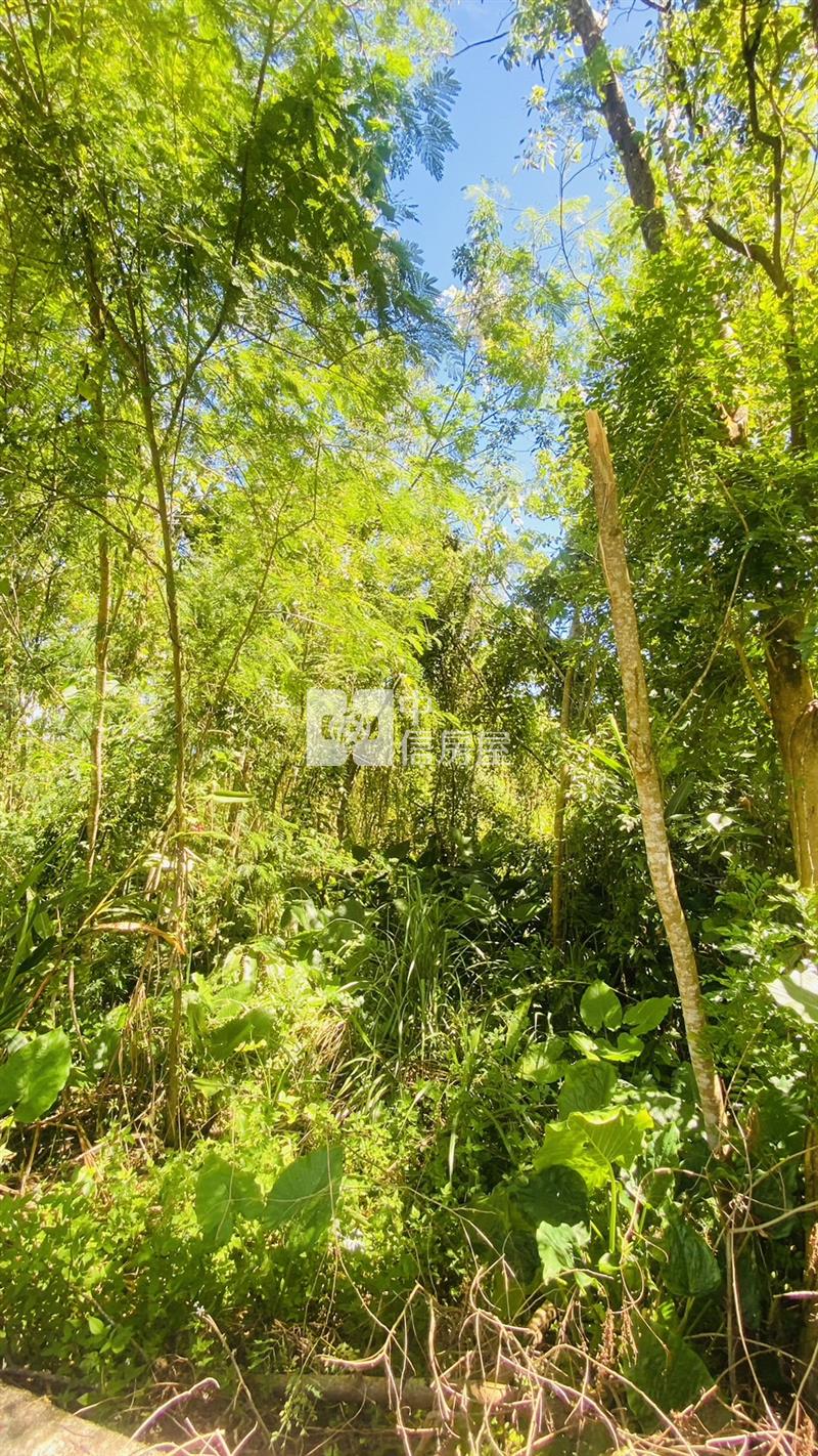 專任鳳林林榮段小坪數農地房屋室內格局與周邊環境