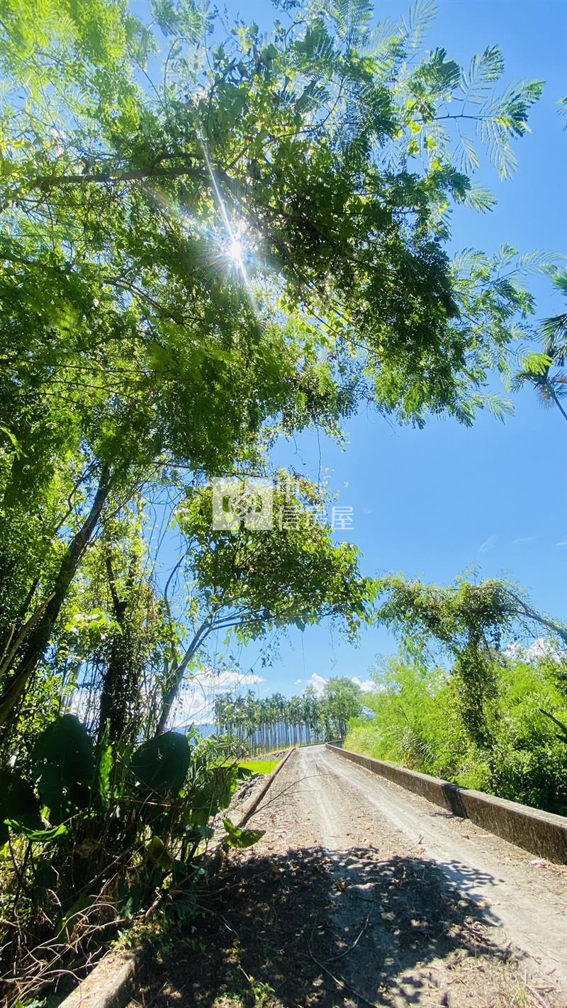 專任鳳林林榮段小坪數農地房屋室內格局與周邊環境