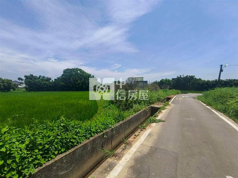 新坡草漯雙面臨路買地送鐵皮屋房屋室內格局與周邊環境