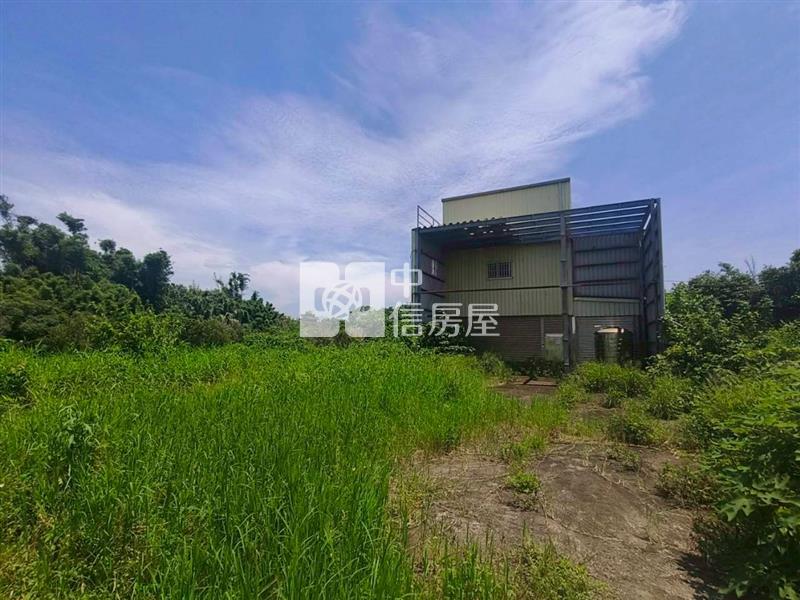 新坡草漯雙面臨路買地送鐵皮屋