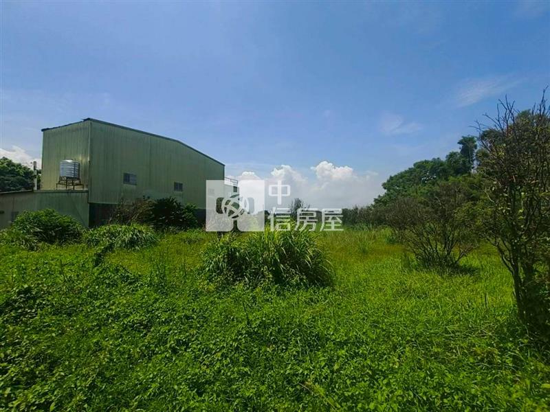 新坡草漯雙面臨路買地送鐵皮屋房屋室內格局與周邊環境