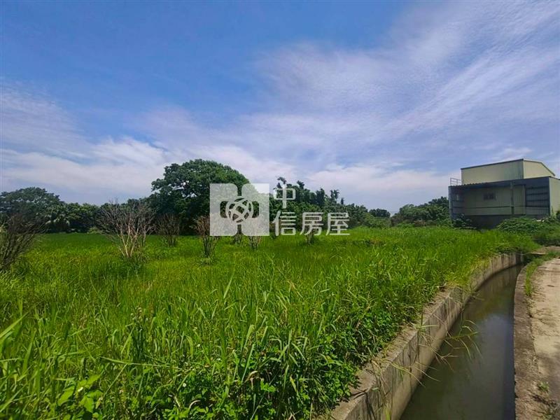 新坡草漯雙面臨路買地送鐵皮屋房屋室內格局與周邊環境