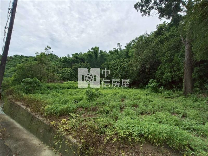 龍崎龍船1.4甲農地房屋室內格局與周邊環境