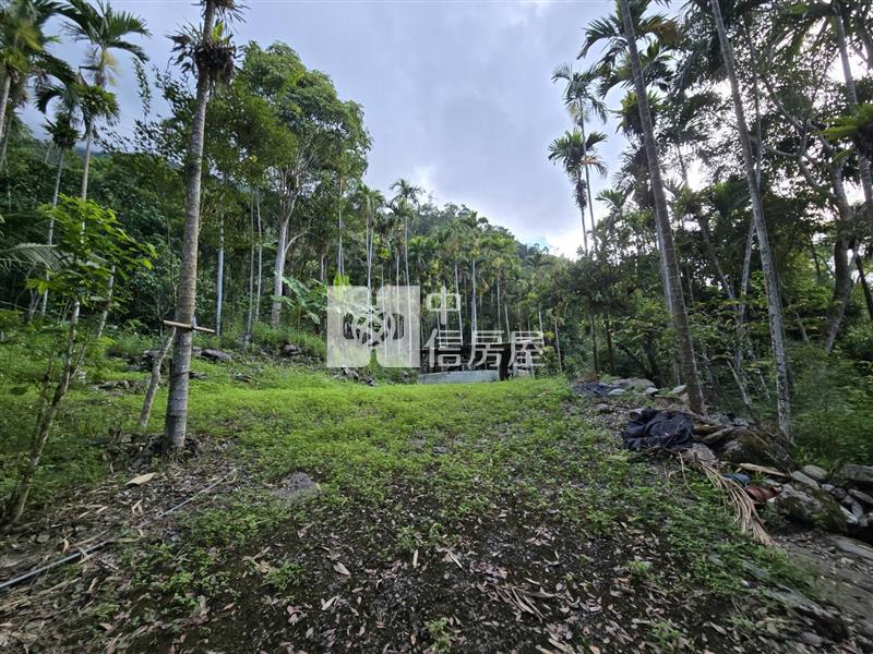 鯉魚潭台九丙旁山景原保農地房屋室內格局與周邊環境