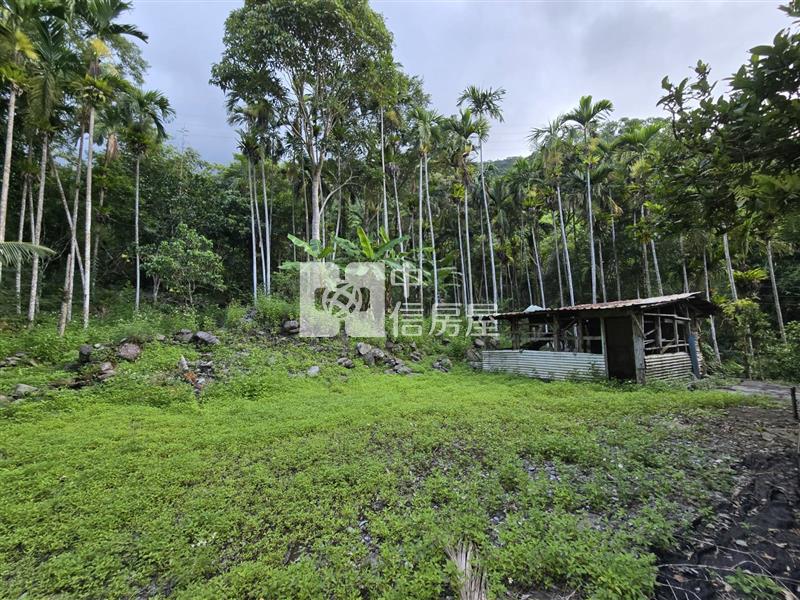 鯉魚潭台九丙旁山景原保農地房屋室內格局與周邊環境