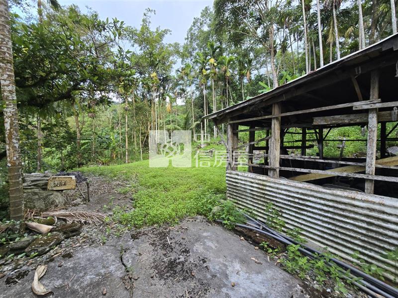 鯉魚潭台九丙旁山景原保農地房屋室內格局與周邊環境