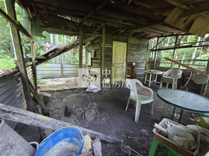 鯉魚潭台九丙旁山景原保農地房屋室內格局與周邊環境