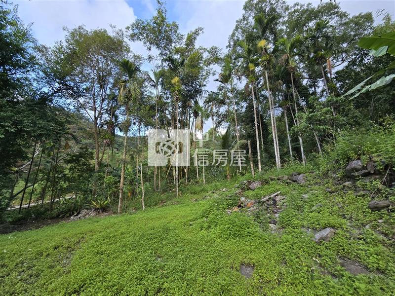 鯉魚潭台九丙旁山景原保農地房屋室內格局與周邊環境