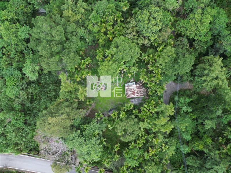 鯉魚潭台九丙旁山景原保農地房屋室內格局與周邊環境
