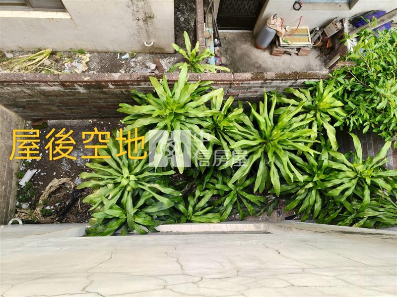 永光國小旁邊間透天房屋室內格局與周邊環境