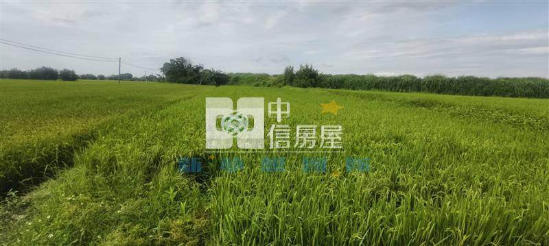 【新夢想】東興路低總價農地房屋室內格局與周邊環境