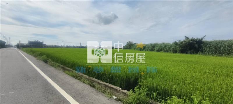 【新夢想】東興路低總價農地房屋室內格局與周邊環境
