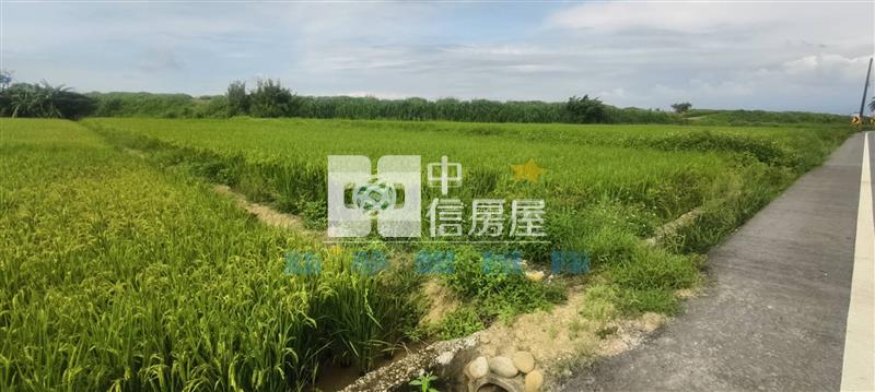 【新夢想】東興路低總價農地房屋室內格局與周邊環境