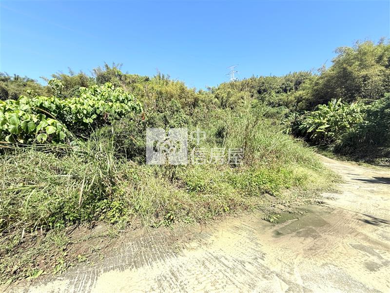 龍崎一分平坦小農地房屋室內格局與周邊環境
