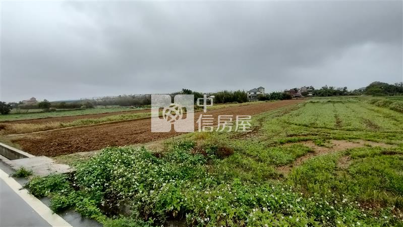 觀音新坡大堀段農地房屋室內格局與周邊環境