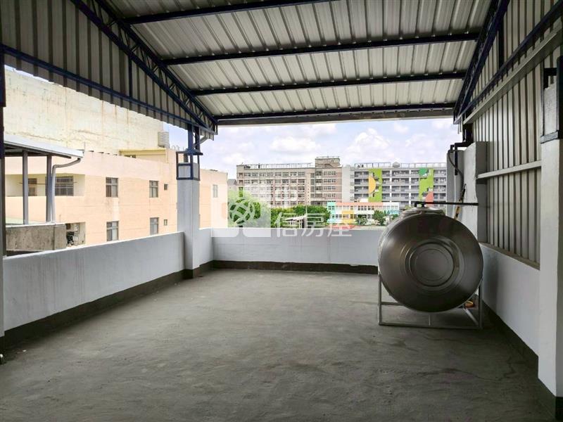員林國小旁店住房屋室內格局與周邊環境