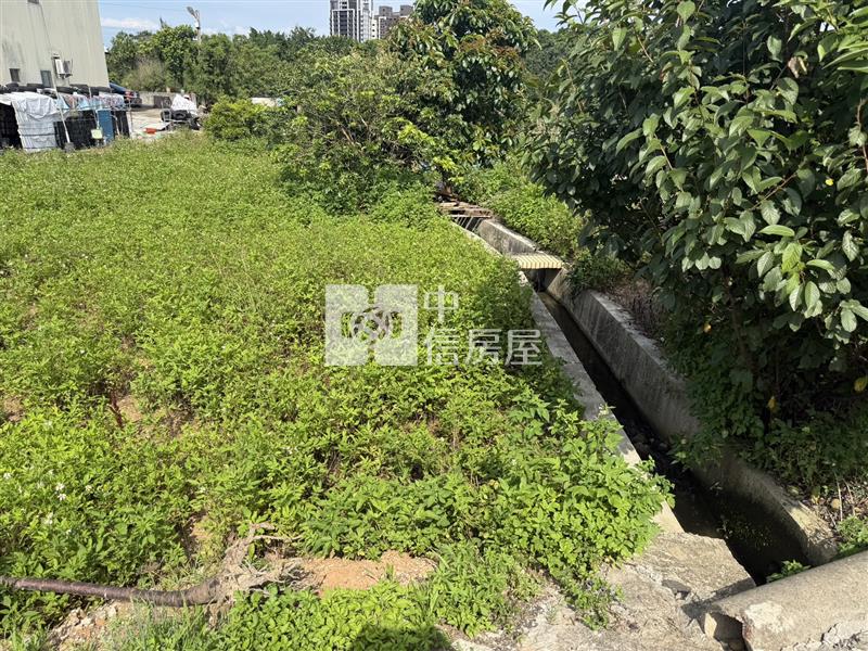 中壢月桃路建地+農地房屋室內格局與周邊環境
