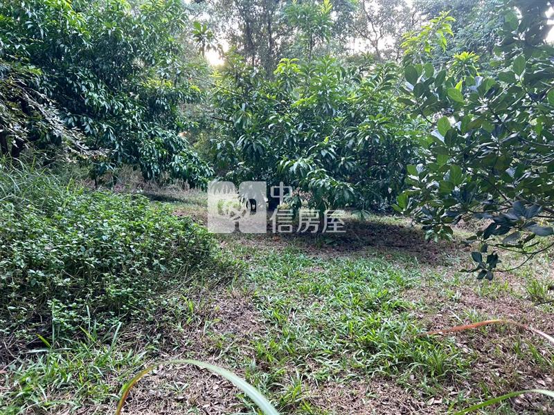 新化球場鳳凰山莊旁一般方正農地房屋室內格局與周邊環境